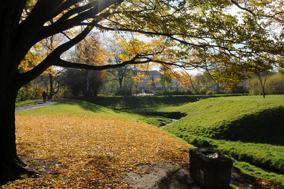 Der Überfall trug sich am 9. August im Hugo-Bürkner-Park in Dresden zu. (Symbolbild)