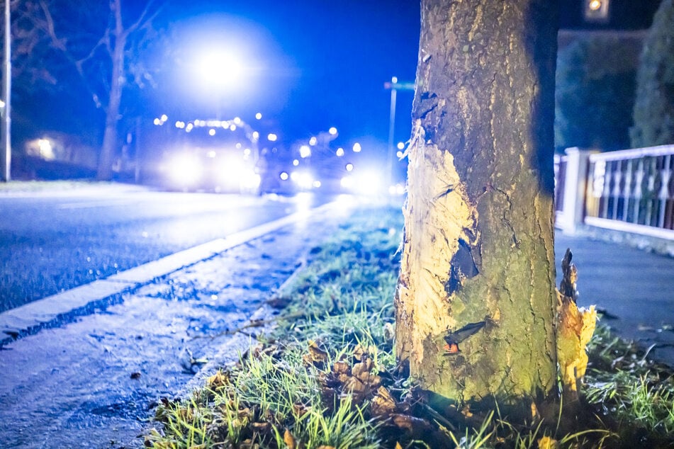 Der alkoholisierte Autofahrer kam von der Straße ab und stieß gegen einen Baum.