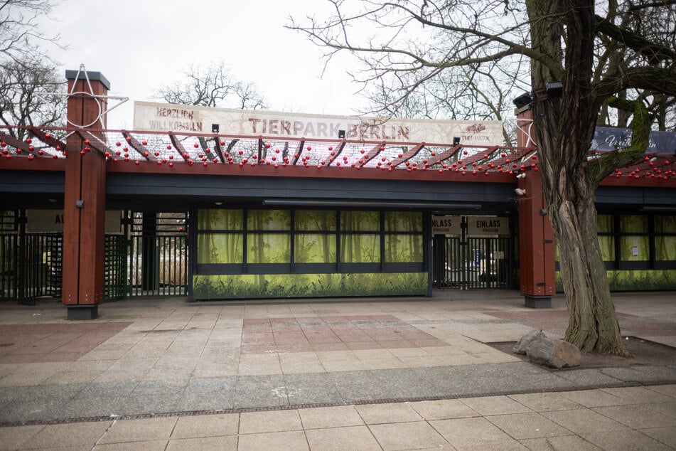 Der Tierpark Berlin hat aktuell wegen des Ausbruchs der Maul- und Klauenseuche in Brandenburg für Besucher geschlossen.