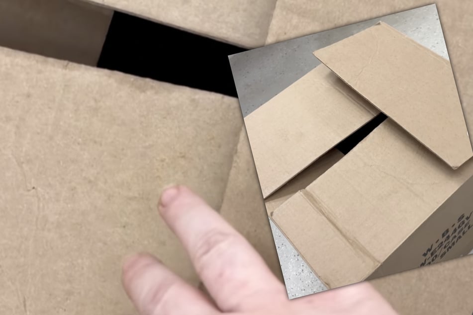 Frau glaubt, sie hat zwei ausgesetzte Katzen gerettet: Als sie in den Karton blickt, krampft sich ihr Herz zusammen