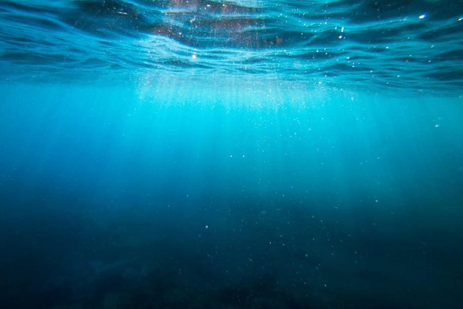 According to a study published by Nature, giant worms found wriggling under the Pacific seabed have unveiled a thriving ecosystem in a fiercely hostile environment. But how?