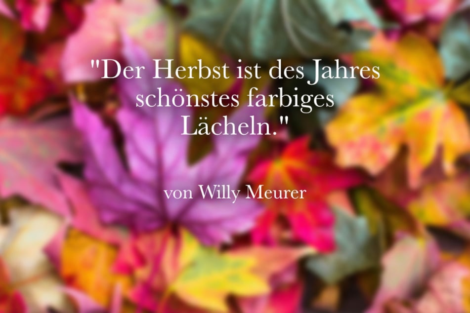 Ein schöner Spruch ist das Zitat von Willy Meurer: "Der Herbst ist des Jahres schönstes farbiges Lächeln.".