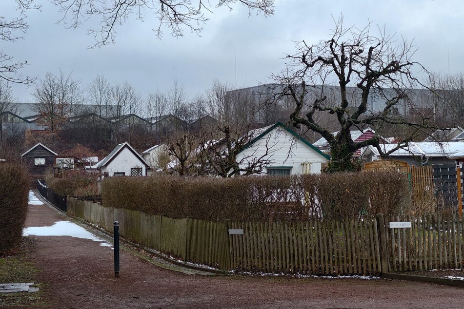Die Sparte „Lebensfreude“ an der Werner-Seelenbinder-Straße: Das Tor hier ist derzeit verschlossen.