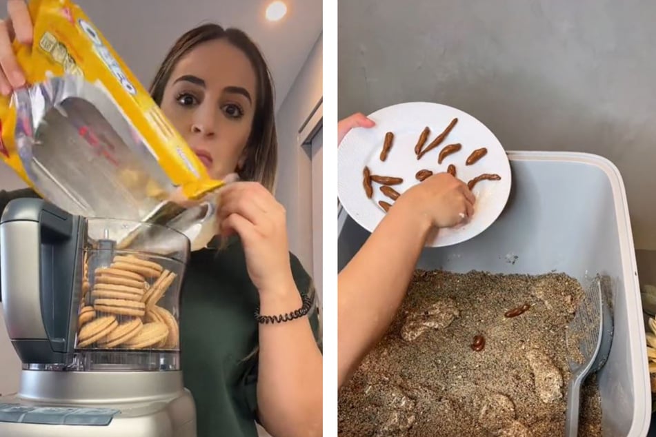 The cat owners show themselves making a fake cat litter box out of cookies and chocolate treats.