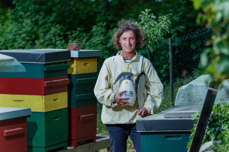 Auch TU-Mitarbeiterin Ines Schmidt (45) ist auf die Bienen gekommen. Mittlerweile hat sie nicht nur eigenen Honig, sondern sich auch zur Bienenpädagogin mit Angeboten für Kinder ("Loschwitzer Bienengarten") weitergebildet.