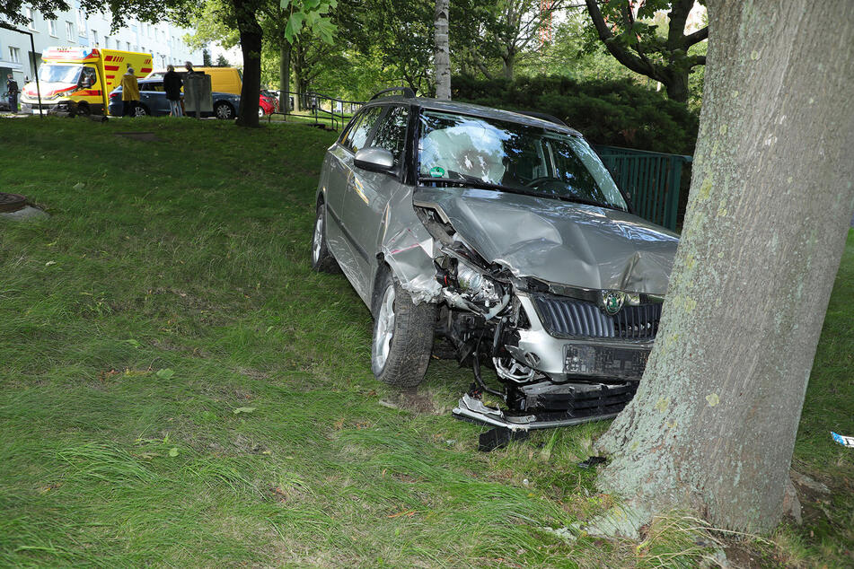 Der Wagen der Seniorin kam erst durch einen Baum-Crash zum Stehen.