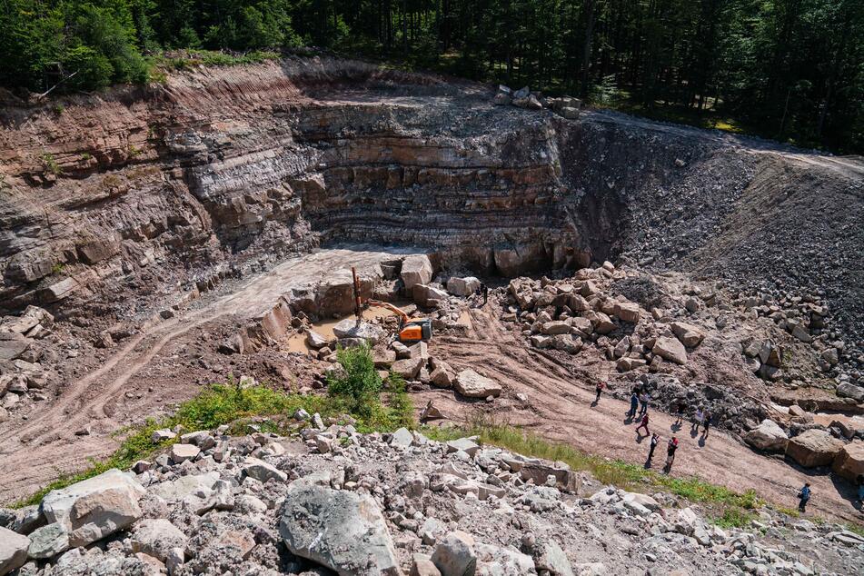 In diesem Steinbruch bei Rauhenebrach wurden die Knochen eines Cyclotosaurus entdeckt.