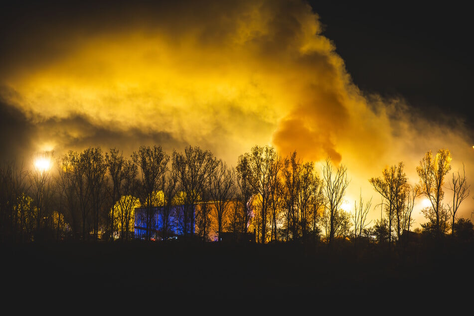 Feuer auf Mülldeponie: Holzhaufen brennt lichterloh