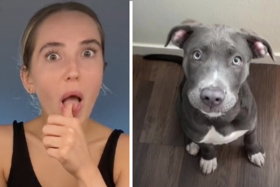Dog wiggles into the hearts of TikTok users with sweet sleepy cuddles