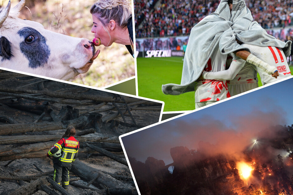 Die Sieger stehen fest: Das sind die besten sächsischen Pressefotos 2022
