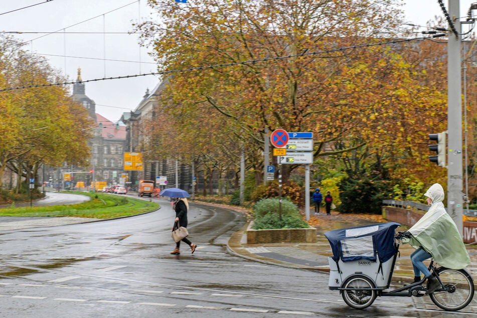 Für viele Autofahrer das nächste Ärgernis: Ende November werden auf der Köpckestraße Radstreifen aufmarkiert.