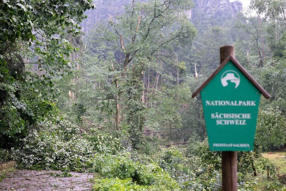 Nach dem schweren Unwetter mit einem Toten und drei Schwerverletzten ist der Nationalpark für Besucher gesperrt.