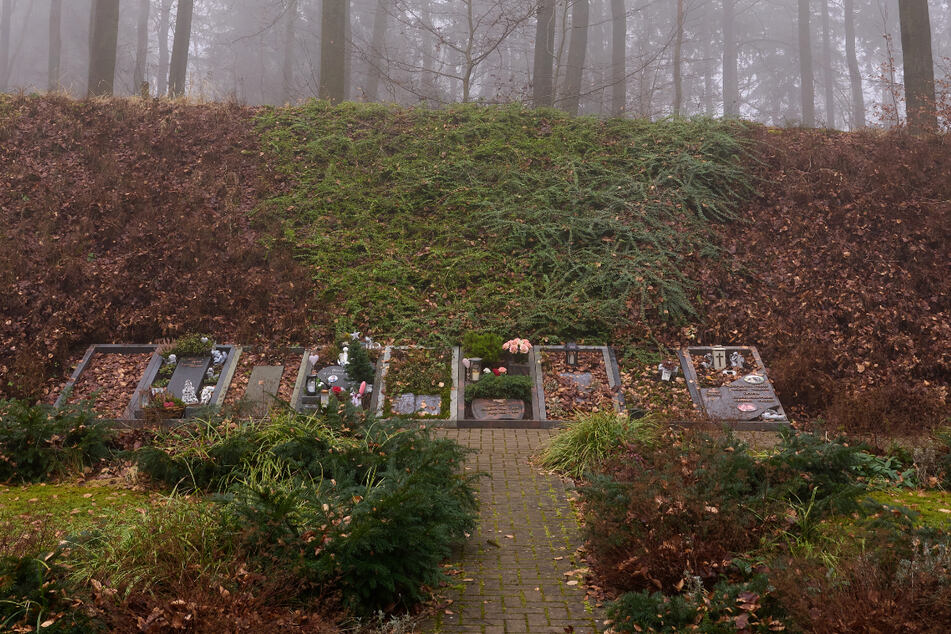 Auf dem Urnenfriedhof "Unser Hafen“ im rheinland-pfälzischen Braubach können Verstorbene bei ihren Haustieren beerdigt werden.