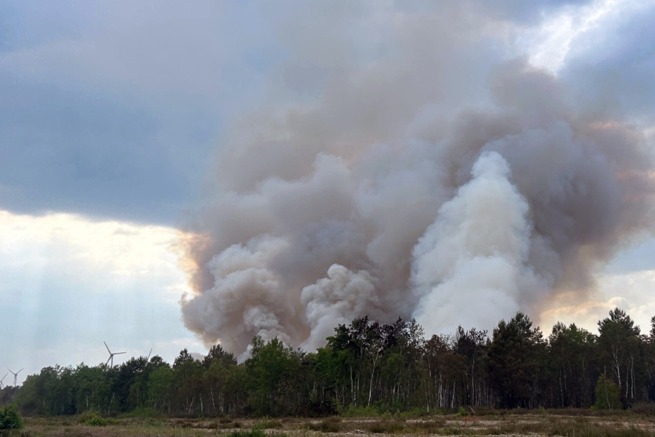 Waldbrand bei Jüterbog wieder angefacht: "Das ist ein Kampf gegen Windmühlen"