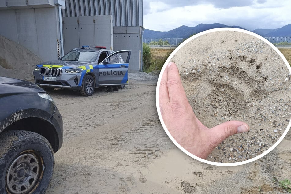 Die Tragödie ereignete sich auf dem Gelände einer Firma. Im Sand sind deutlich Abdrücke der Bärenpranken zu erkennen.