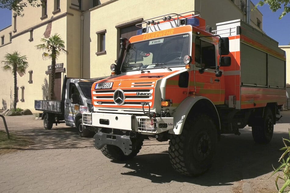 Feuerwehreinsatz bei Hagenbeck! Elefantendame stürzt und kommt nicht wieder hoch