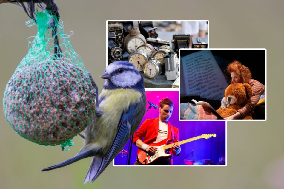 Acht Ausflugsideen für den letzten Ferien-Samstag