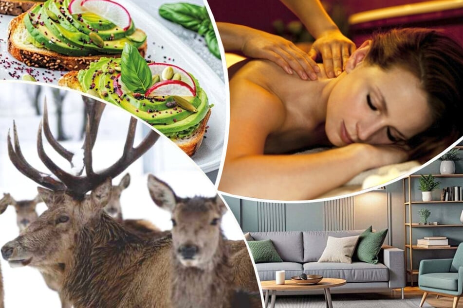 Die LVZ-Weihnachtsauktion läuft noch bis Sonntag (16.11.) mit zahlreichen Schnäppchen.