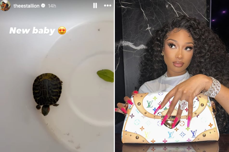 Megan Thee Stallion has a new cold-blooded pet!