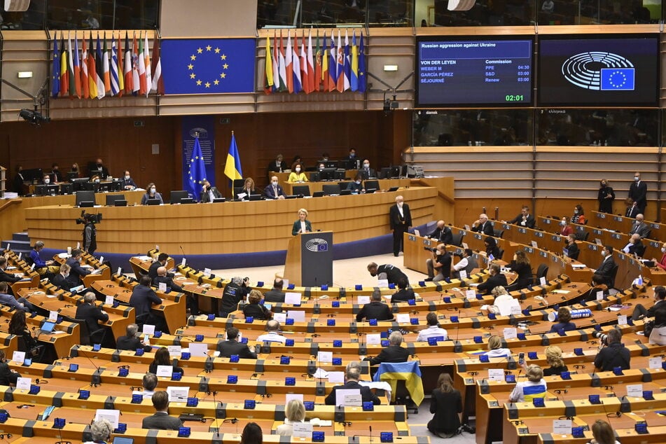 Das EU-Parlament zählt 705 Mitglieder. Seit 1979 werden die Abgeordneten für die Dauer von fünf Jahren gewählt.