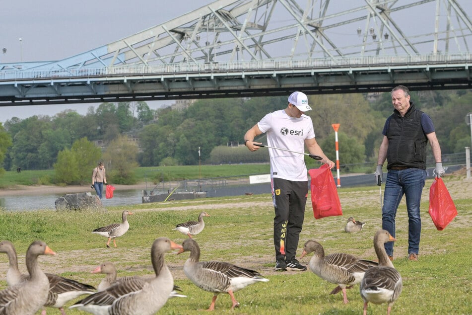 Bis zu 2000 Leute können an der Elbe mit anpacken und die Abfälle einsammeln.