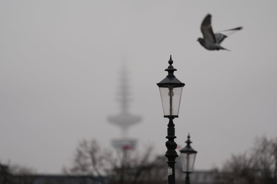 Die Woche in Hamburg und Schleswig-Holstein startet neblig und frostig. Nachts sinken die Temperaturen unter den Gefrierpunkt.