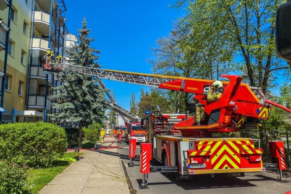 Über mehrere Drehleitern bekämpfen die Kameraden der Dresdner Feuerwehr den Brand im Dachbereich.