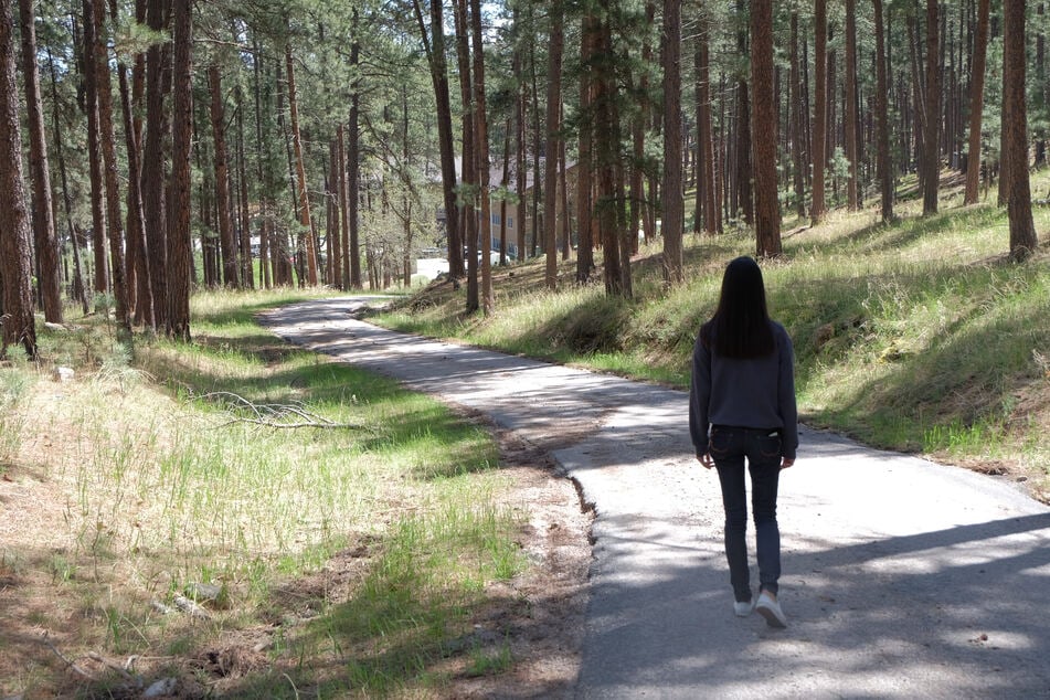 In einem Wald in Langenbernsdorf (Landkreis Zwickau) wurde eine Frau von einem Mann bedrängt. (Symbolbild)