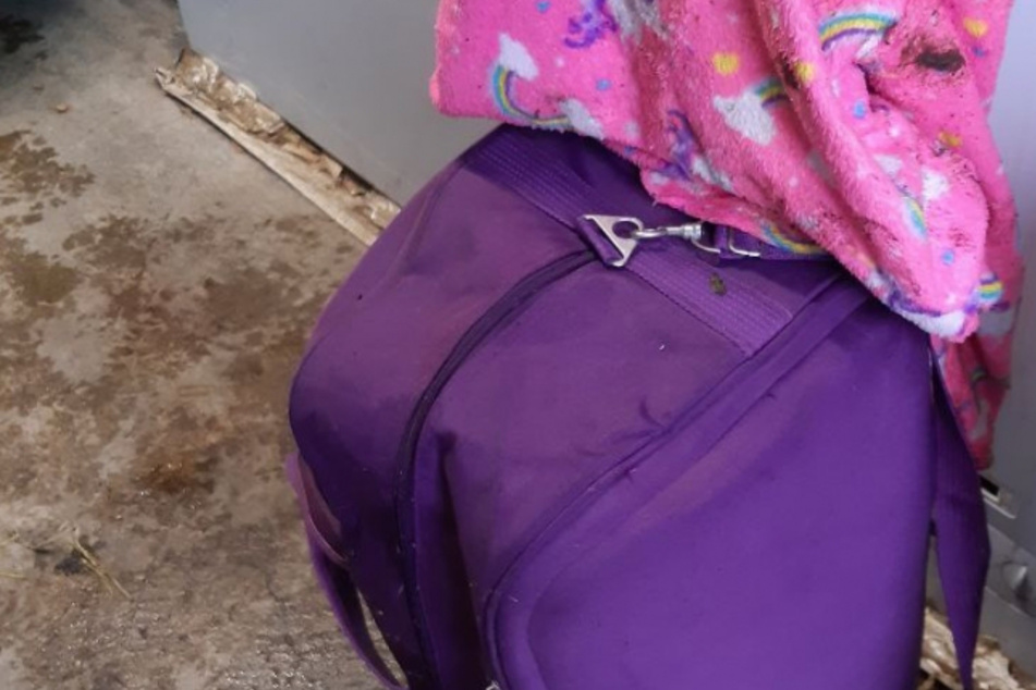 Kinder finden lilafarbenen Koffer im Wald: Der Inhalt macht sprachlos!