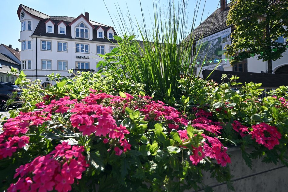 Blumen blühen am Marktplatz von Triptis. 2028 findet die Landesgartenschau in der Orla-Region statt. Der Verbund Neustadt-Orla, Pößneck und Triptis setzte sich mit seinem Bewerbungskonzept durch.