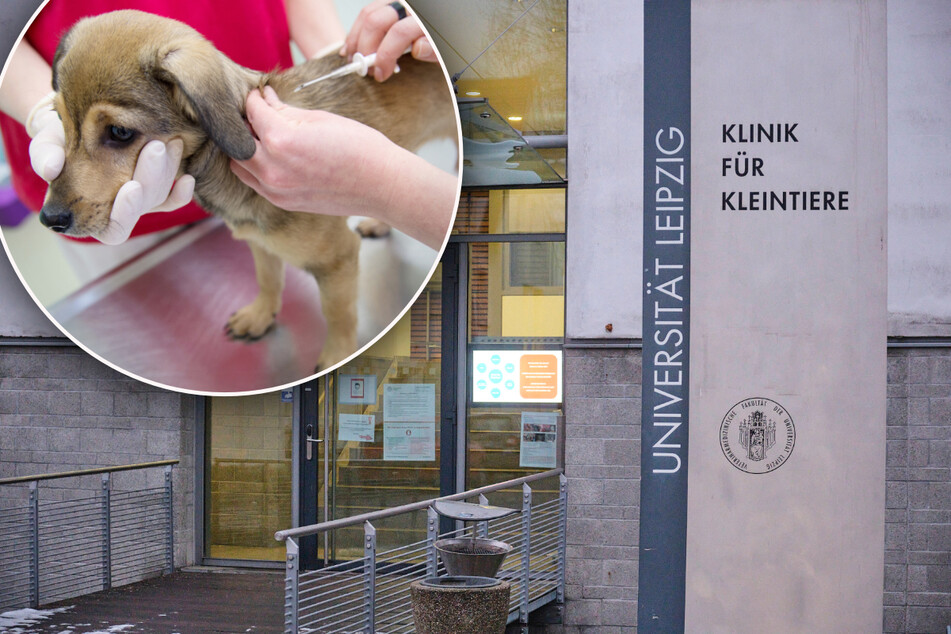 Leipzig: Personalnot! Uni Leipzig will Notdienst für Kleintiere schnell wieder ausbauen