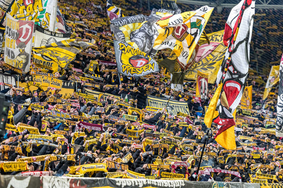 Die Fans standen am Samstagabend voll hinter ihrer SGD - und beeindruckten auch den gegnerischen Trainer.