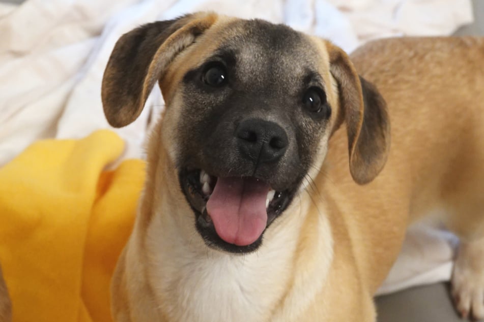 Der Jungspund hat eine schwere Vergangenheit hinter sich.