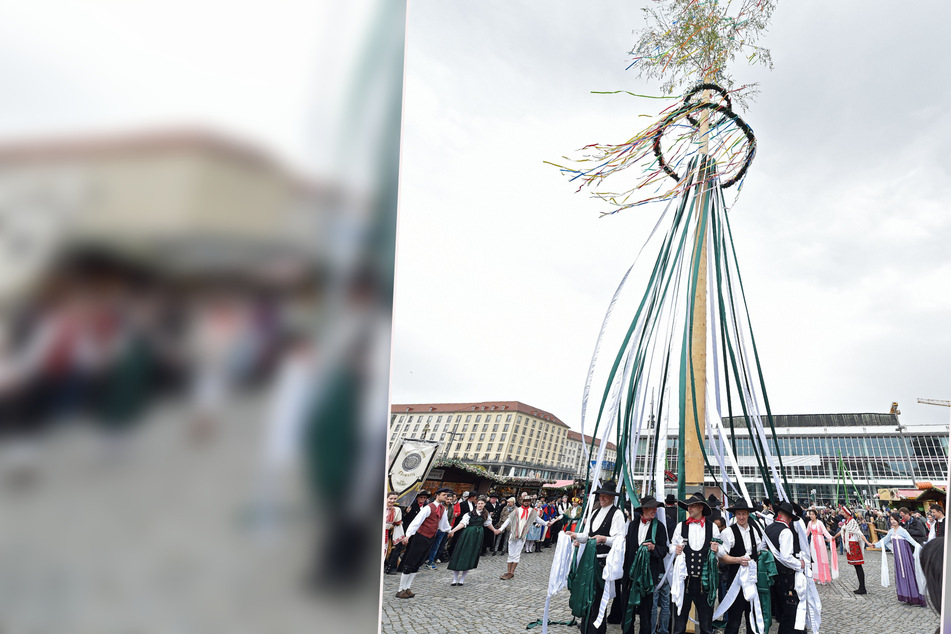 Dresden: Maibaum auf dem Altmarkt: Alte Tradition neu belebt