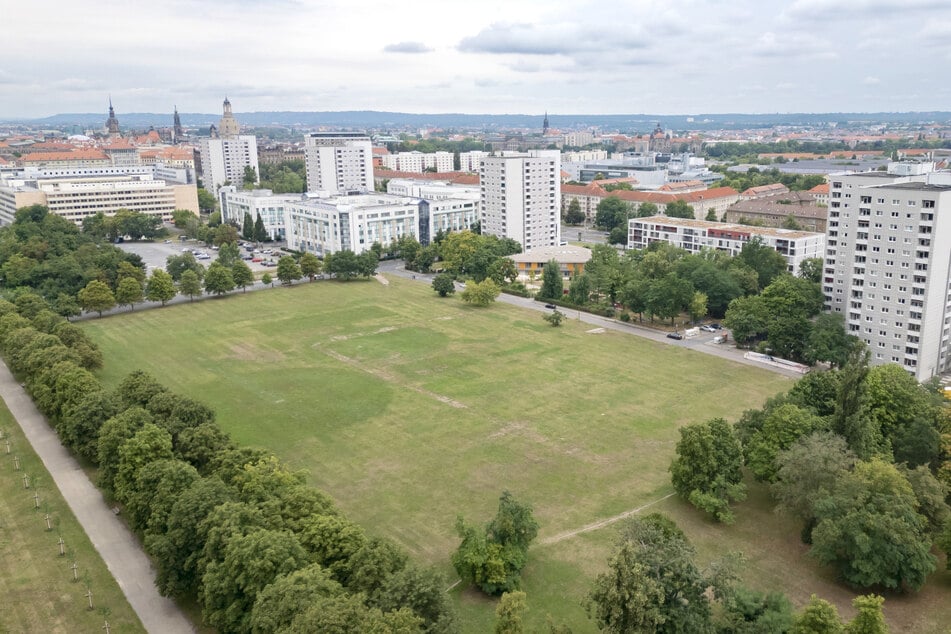 Ob unter der Cockerwiese Kohlevorkommen schlummern? Dieser Vermutung wäre die Stadt Dresden 1946 fast nachgegangen.