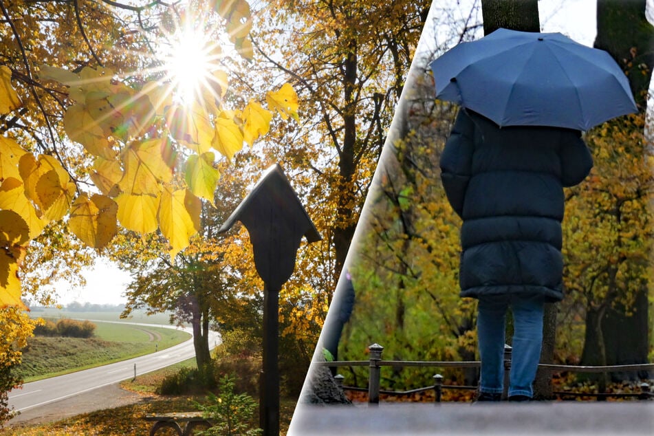 Erst sonnig, dann Kälteschock: An diesem Tag dreht sich das Wetter in Dresden