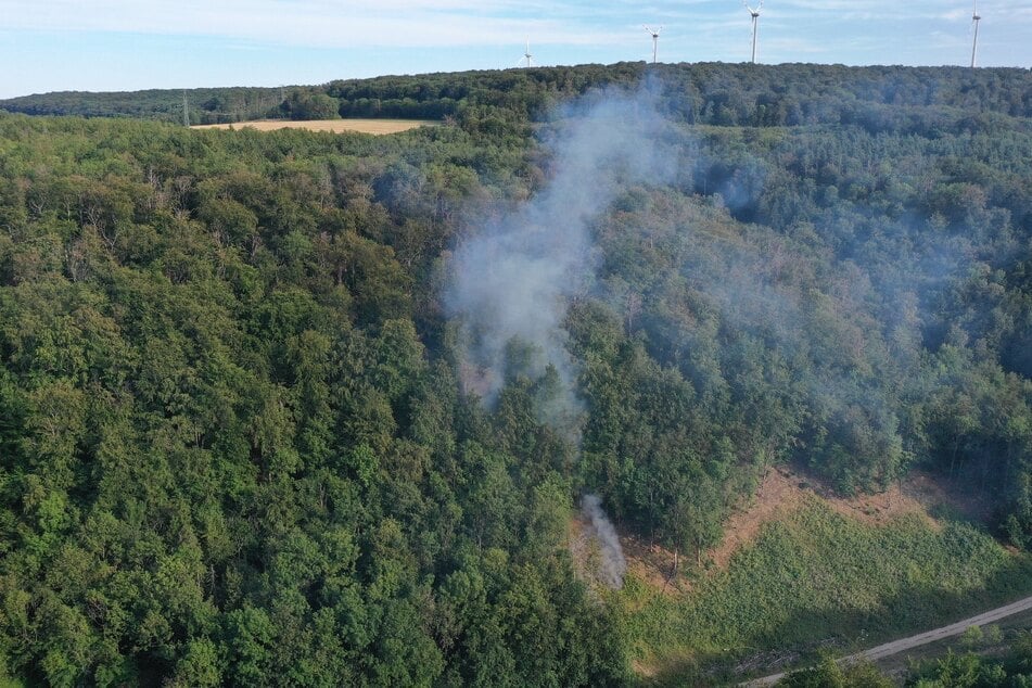 Die Feuerwehr konnte den Brand löschen.