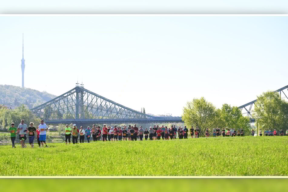 Traumhafte Kulisse, rappelvoller Elberadweg: So wird's auch am 26. April von Königstein nach Dresden.