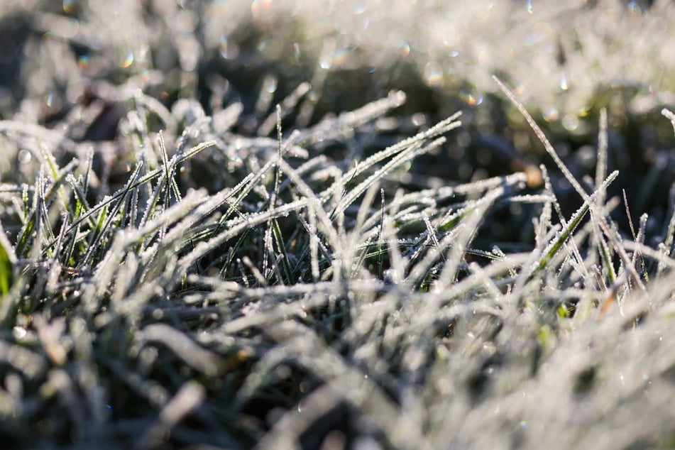 In Baden-Württemberg kommt es in den Nächten und frühen Morgenstunden stellenweise zu Bodenfrost.