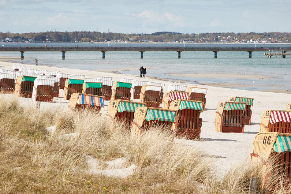 Im Hintergrund ist die Seebrücke von Scharbeutz zu sehen.