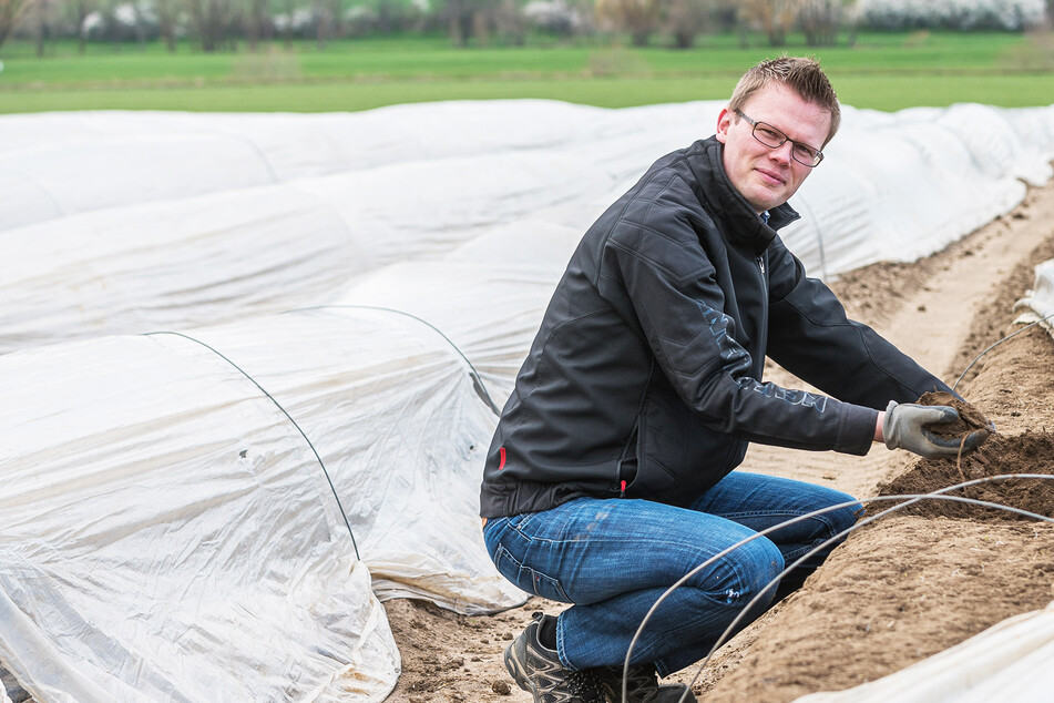 Nicht nur die Spargelernte bereitet Landwirten jetzt Sorge