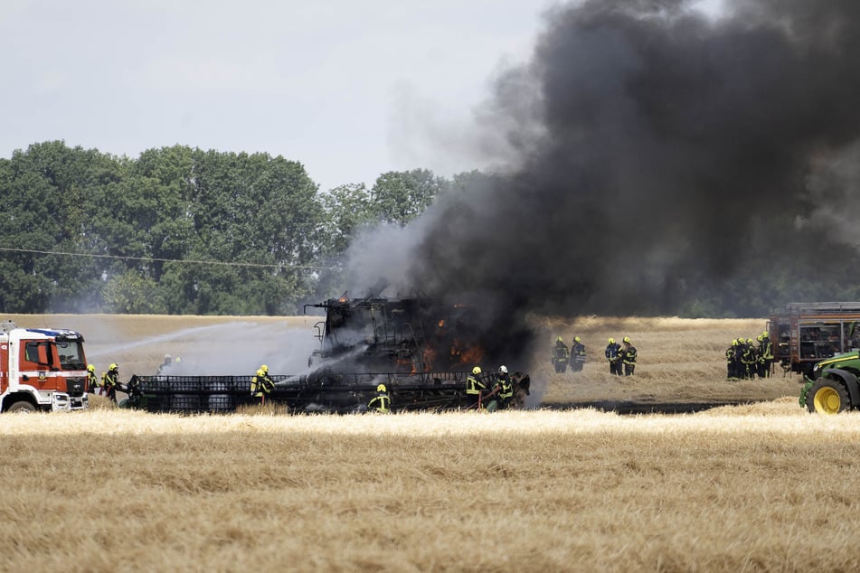 Während der Mäharbeiten fing ein Mähdrescher plötzlich Feuer.