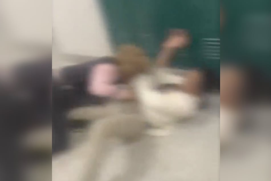 Schülerin (rechts) und Lehrerin prügelten sich mitten im Schulhaus.