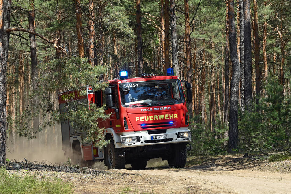 In schlimmen Zeiten sind die Feuerwehren wegen anhaltender Waldbrände quasi im Dauereinsatz.