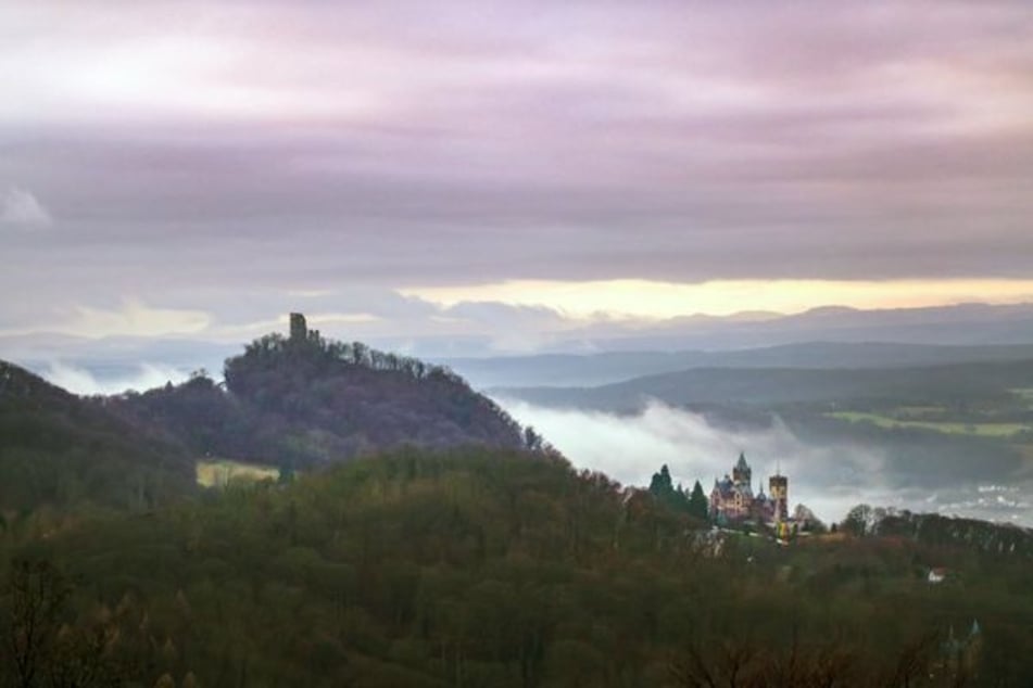 Auch der berühmte Drachenfels-Mythos soll in die neue Dino-Erlebniswelt integriert werden.