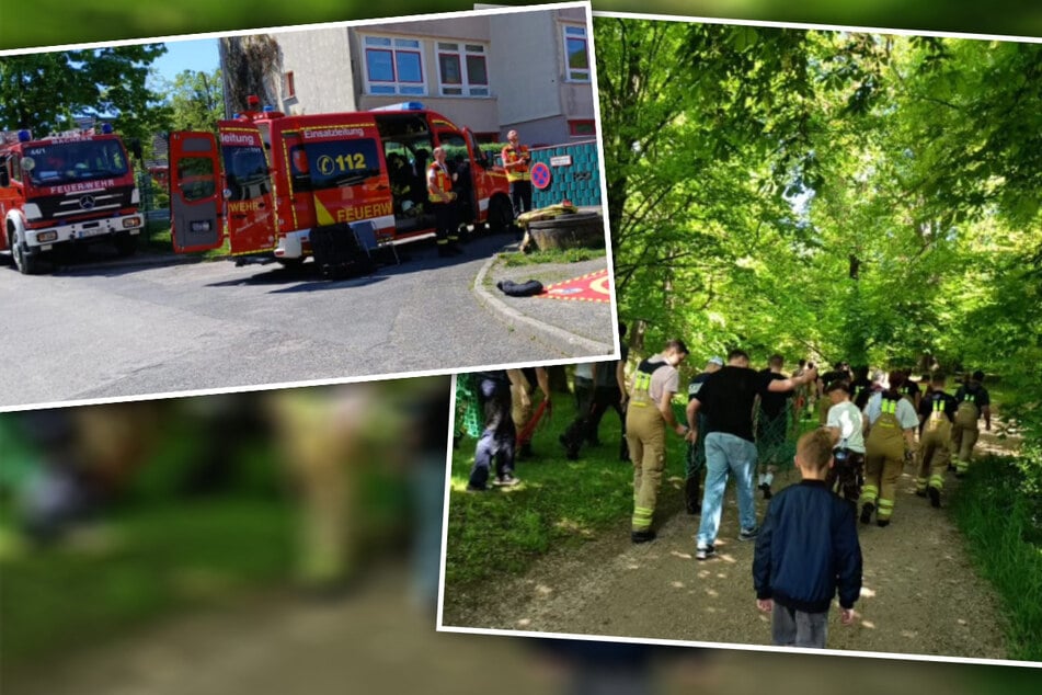 In Machern läuft seit Donnerstagmorgen eine wilde Rettungsaktion. Eine Gruppe Hirsche ist ausgebrochen. Nun versucht die Feuerwehr, sie wieder nach Hause zu bringen.