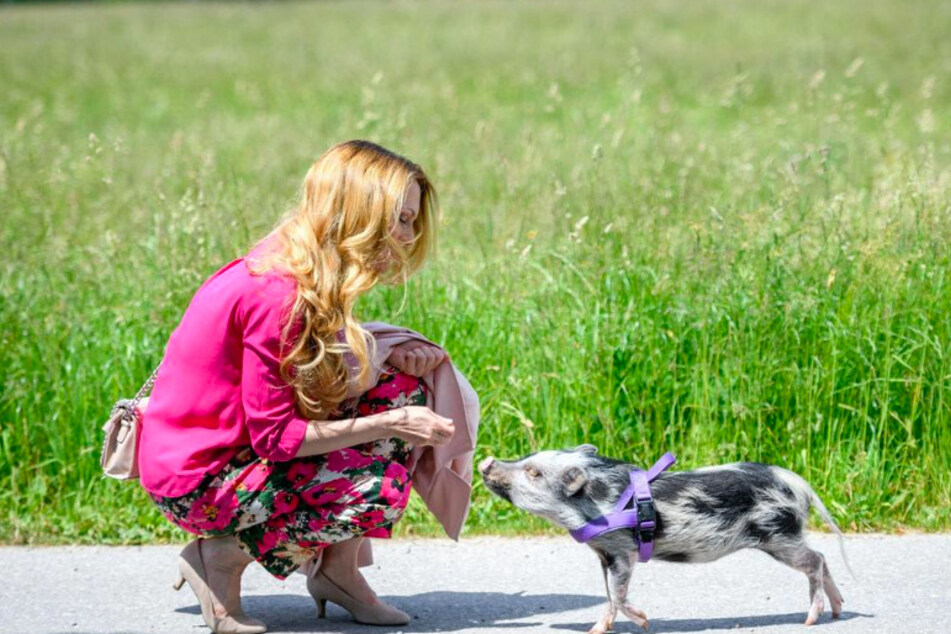 Rosalie (Natalie Alison, 43) und Schwein Chantal scheinen sich gut zu verstehen.