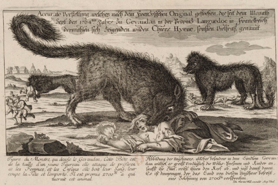 Heute vor 259 Jahren: Der ungelöste Mythos der Bestie von Gévaudan
