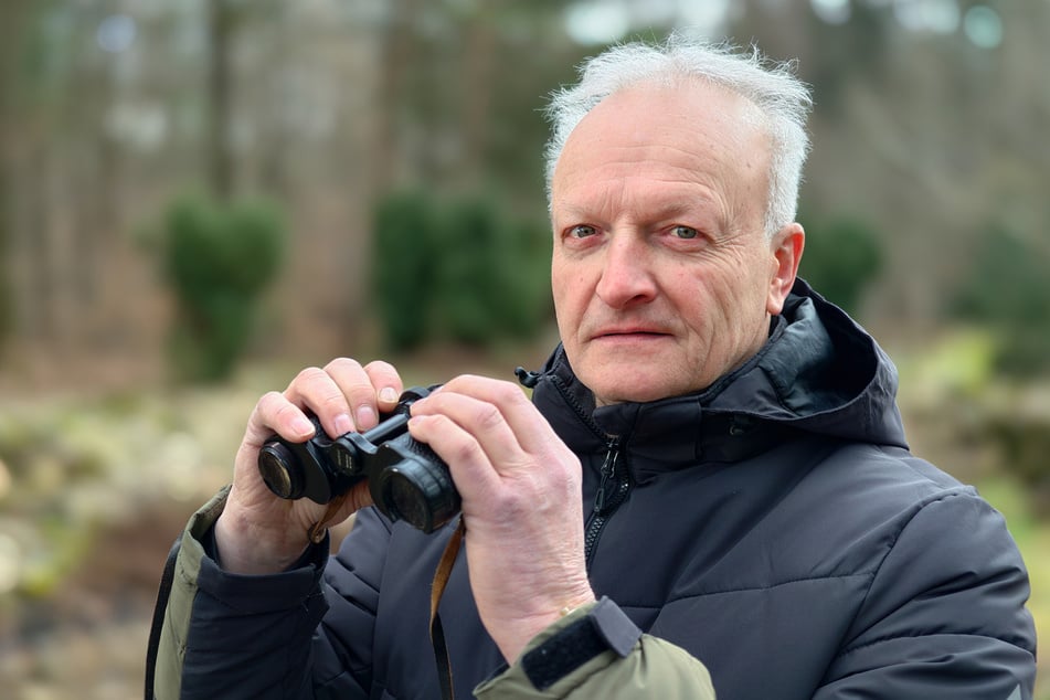 Lutz Röder (64), Geschäftsführer des NABU Chemnitz Erzgebirge, hält nach Sperlingen Ausschau.