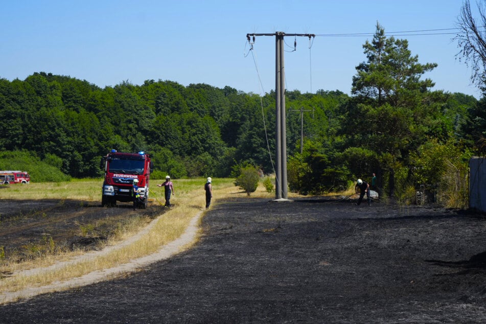 Stromleitung reißt und setzt Felder in Brand